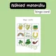 St. Patrick’s day - bingo 6