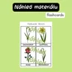 Jaro v angličtině – hravé pracovní listy, aktivity, flashcards 7