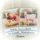 Zvířecí rodiny - farma 3