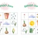 Bingo Jaro 2