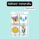 Jaro v angličtině - pexeso, flashcards 5
