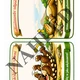 SVĚT DINOSAURŮ 4