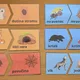 Duo puzzle - kde bydlí zvíře 3