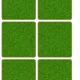 Kdo žije v trávě? 6