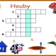 Obrázkové křížovky Houby 3