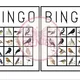 Ptačí bingo 3