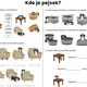 Kde je pejsek? - Prostorová orientace/Předložky 3