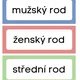 Rody podstatných jmen - kartičky 2