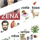 VZORY podstatných jmen rodu ženského 6
