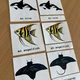 Třísložkové karty SEA ANIMALS 7