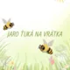 Jaro ťuká na vrátka  2