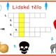Obrázkové křížovky Lidské tělo 3