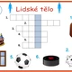 Obrázkové křížovky Lidské tělo 2