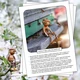 Zajímavosti na nástěnku: Světové dny – květen a červen 2