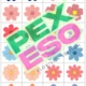 💐PEXESO - KVĚTINÁŘSKÁ EDICE🌺(96 DVOJIC)🌻 4