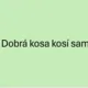 Skrytá slova - jarní květiny  2