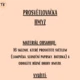 Prosvětlovačka - hmyz 2