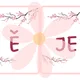 Sakura v květu: Pravopisné kartičky 2