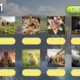 Easter - interaktivní online hra do angličtiny 5