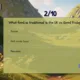 Easter - interaktivní online hra do angličtiny 9