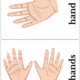 Parts of the body 2