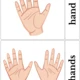 Parts of the body 3