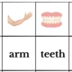 Parts of the body 5