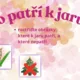 Jaro - aktivity do MŠ 4