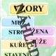 Český jazyk – mluvnické přehledy (PÁDY, VZORY, RODY, SLOVNÍ DRUHY) 4