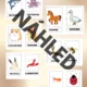 ANIMALS - flashcards 2
