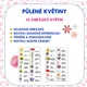 PŮLENÉ KVĚTINY - Skládání obrázků pro rozvoj zrakového vnímání 2