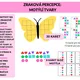 Zraková percepce: Motýlí tvary 2