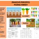Zraková percepce: Poznej mrkev 2