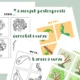 Jaro - Časová posloupnost 2
