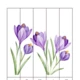 Spring , Easter 4
