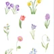 Spring , Easter 2