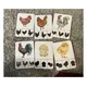 Kuřátkový den🐣 4