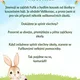 VELIKONOČNÍ PLOTOVKA ZAJÍČKA FUFÍKA 4