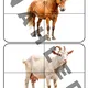Zvířátka na farmě - velký soubor aktivit 4