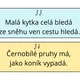Hádanky na celý rok  2