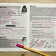 Anarchističtí buřiči, Viktor Dyk, Krysař 3