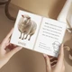 🐄 Zvířata na farmě - výukové karty a jiné aktivity🐄 3