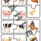 Zvířátka na farmě - velký soubor aktivit 2