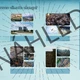 Earth Day Escape Game 3