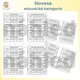 Slovesa - mluvnické kategorie 2