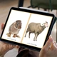 🐄 Zvířata na farmě - výukové karty a jiné aktivity🐄 4