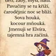 Čarodějnická plotovka  4