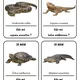 Já mám, kdo má - Plazi 2