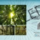 Earth Day Escape Game 5