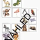Zvířátka v zoo 2